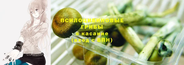 гашиш Касимов
