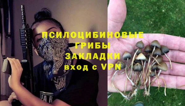 гашиш Касимов