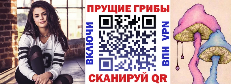 Купить где  Нижнеудинск  Галлюциногенные грибы прущие грибы 